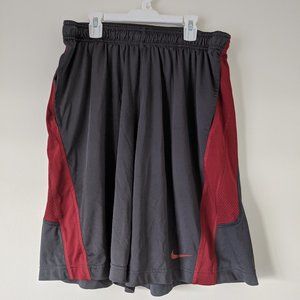 Men's Nike Dri-fit shorts